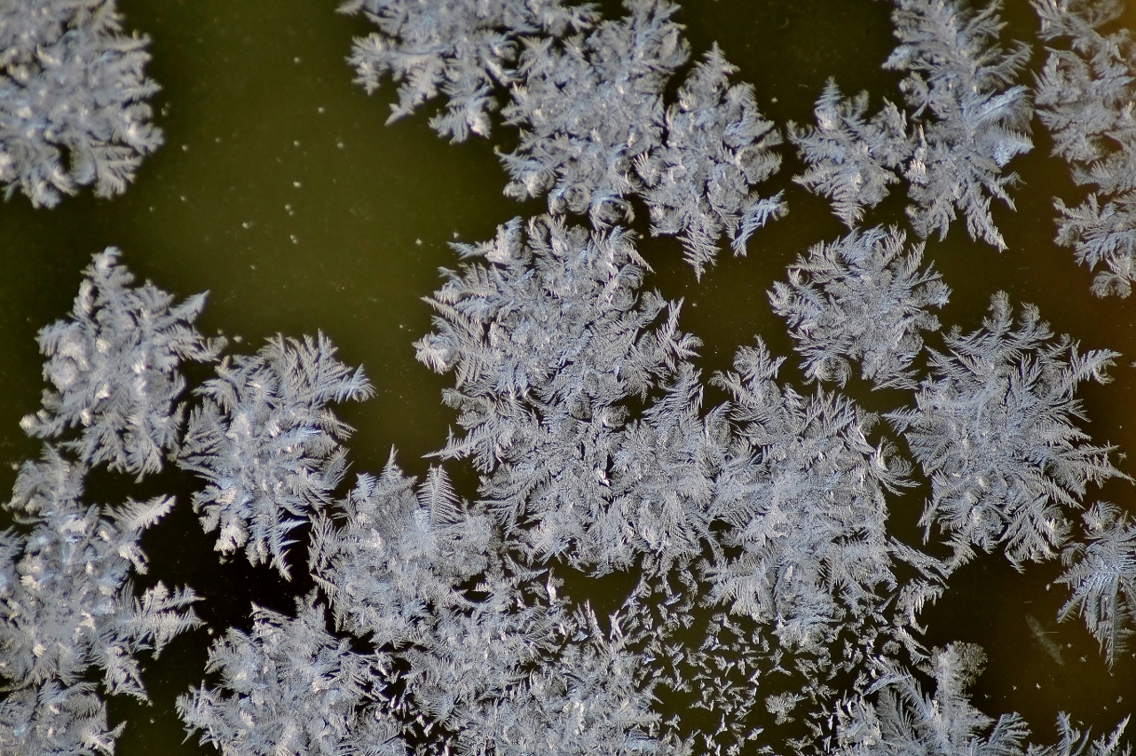 Valokuvaaja: Maarit Siitonen