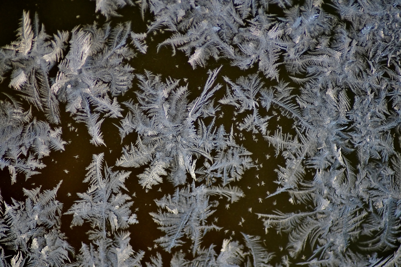 Valokuvaaja: Maarit Siitonen