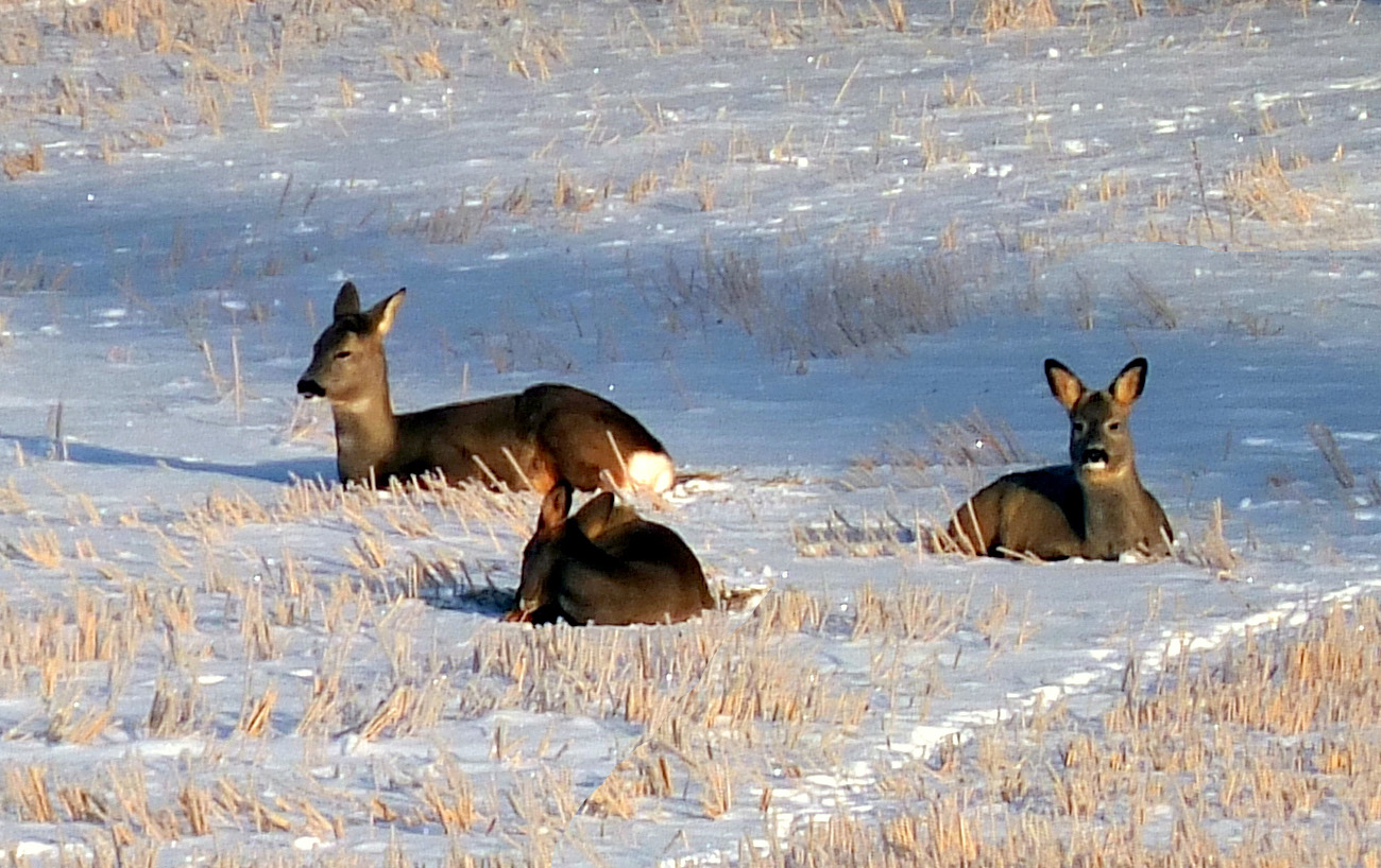 Valokuvaaja: Hannu Rasiranta