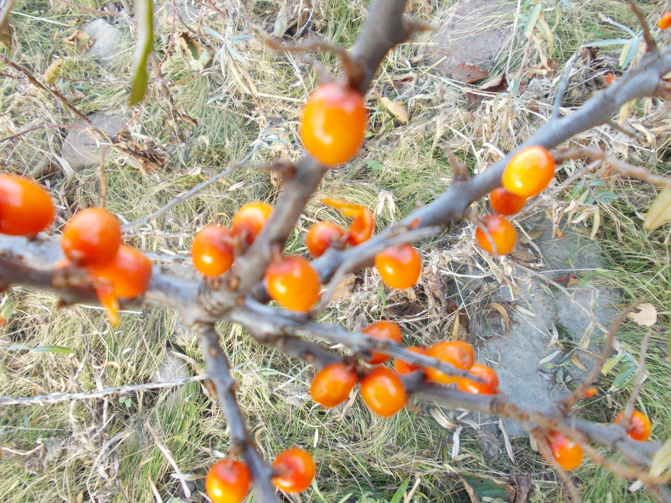 Valokuvaaja: Katja Ketola