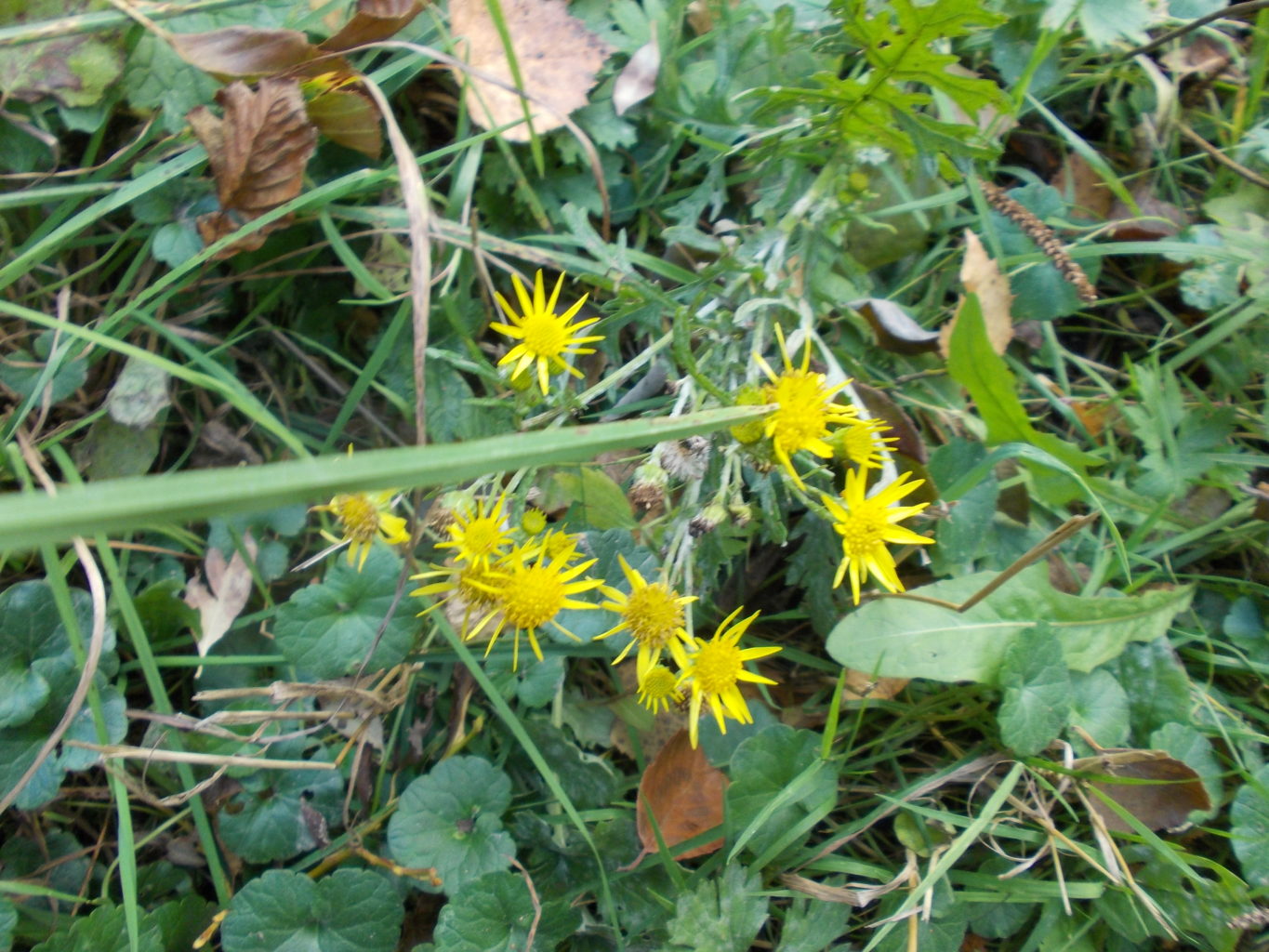 Valokuvaaja: Katja Ketola