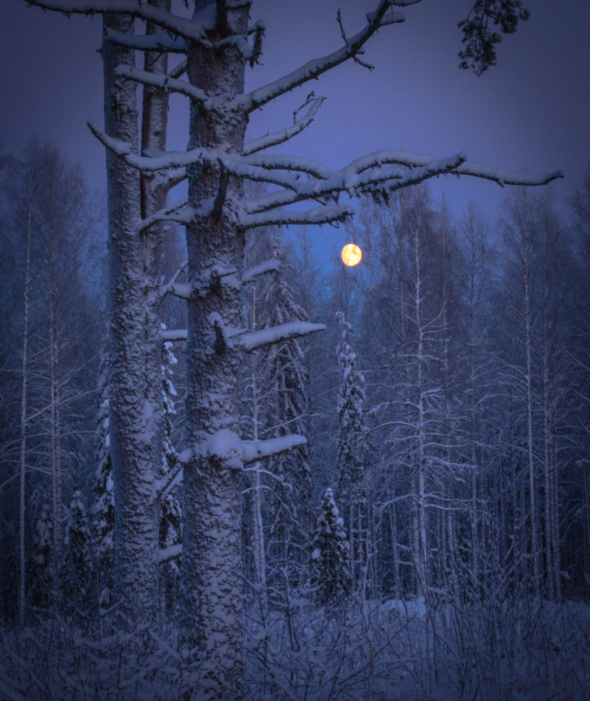 Valokuvaaja: MAIJA SAVOLAINEN