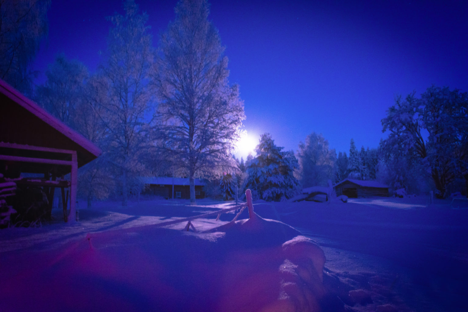 Valokuvaaja: MAIJA SAVOLAINEN