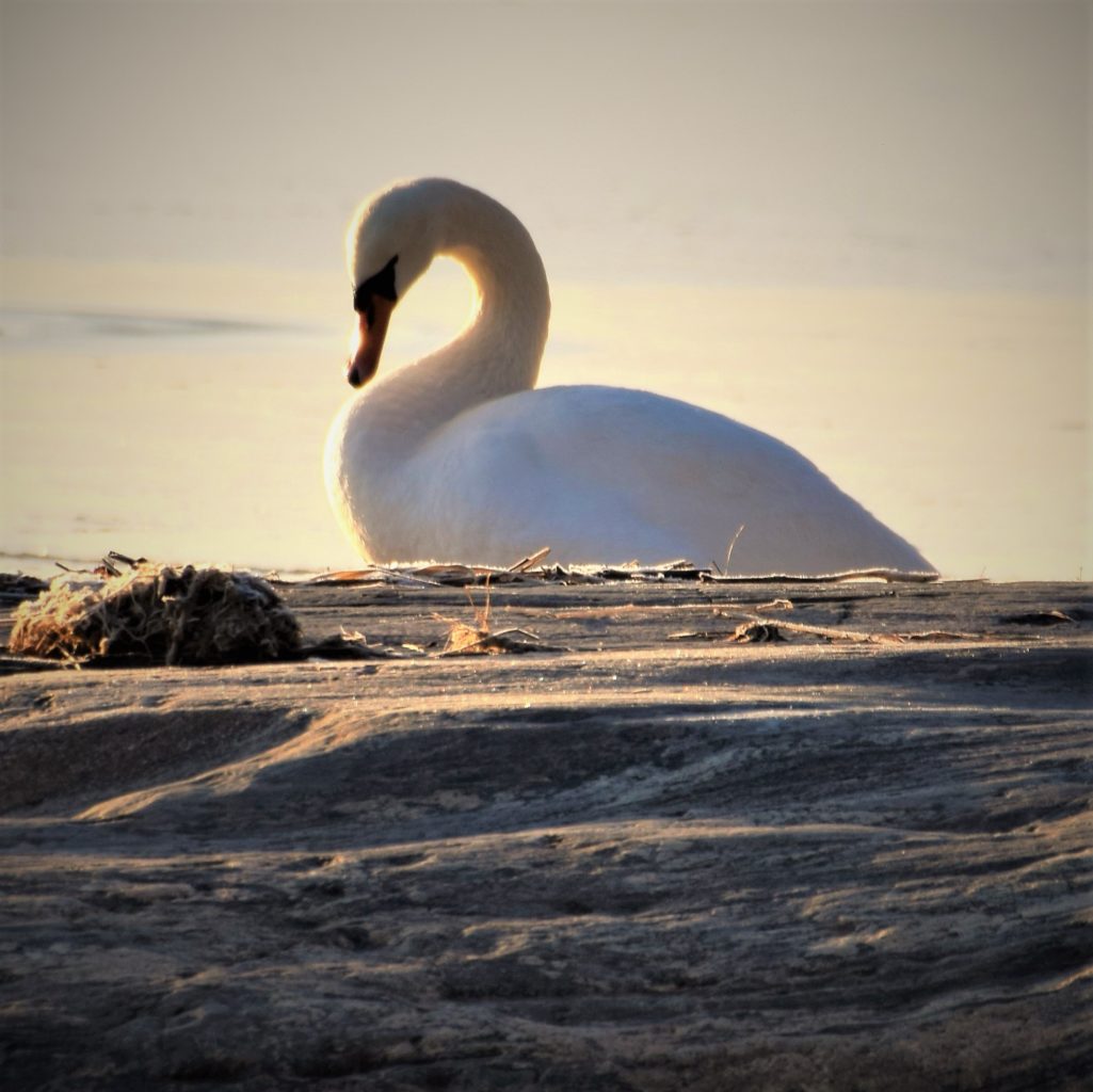 Valokuvaaja: Ulla Räsänen