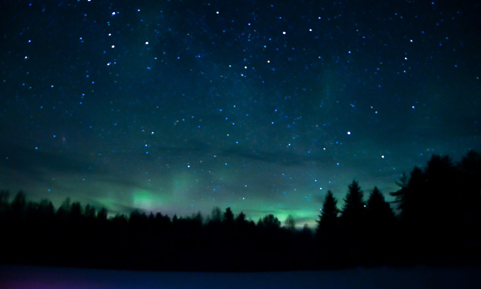 Valokuvaaja: MAIJA SAVOLAINEN