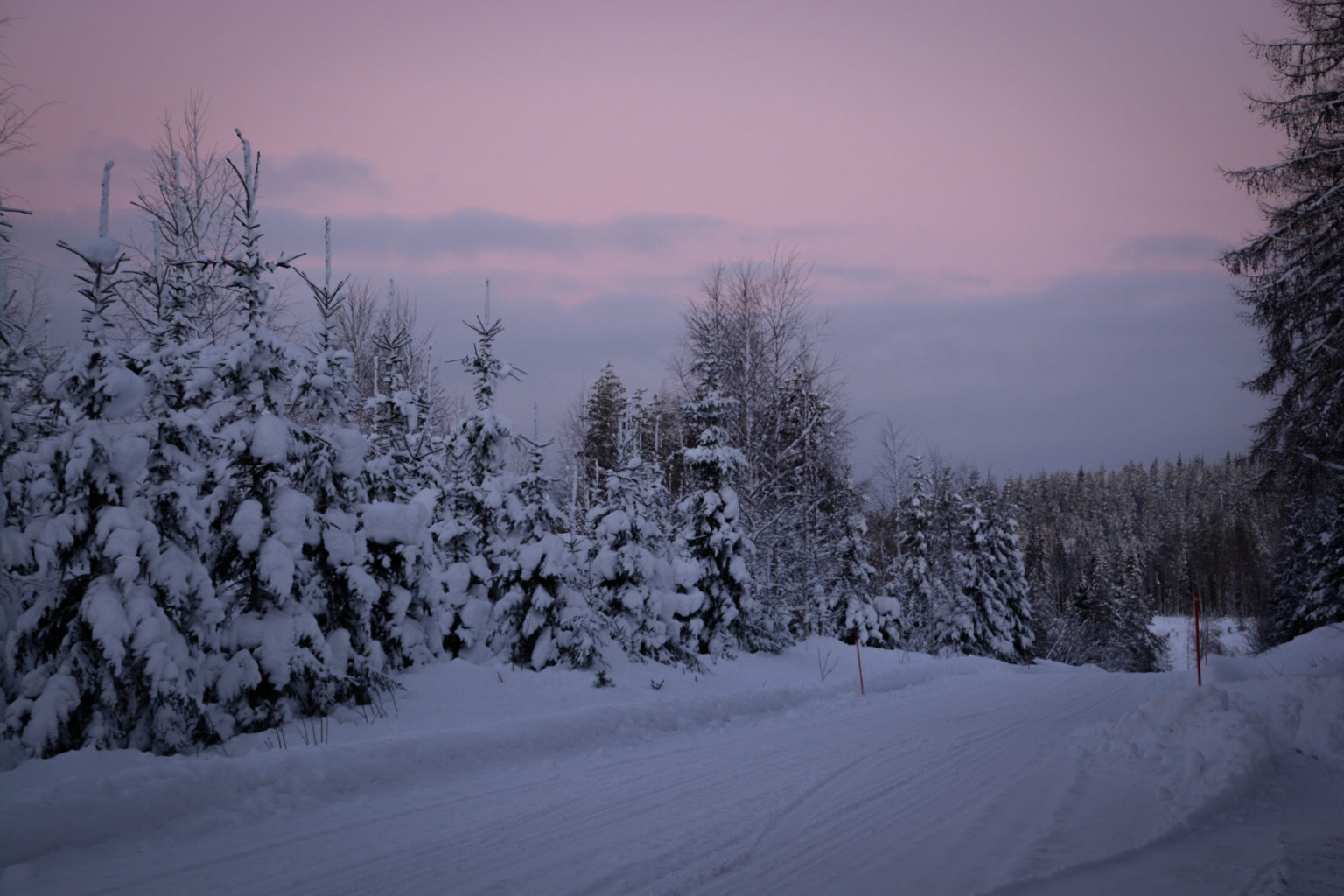 Valokuvaaja: MAIJA SAVOLAINEN