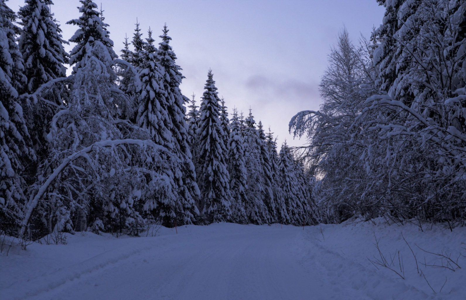 Valokuvaaja: MAIJA SAVOLAINEN