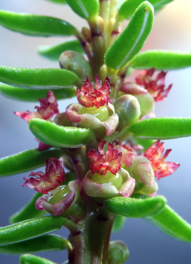 Valokuvaaja: Hannu Rasiranta