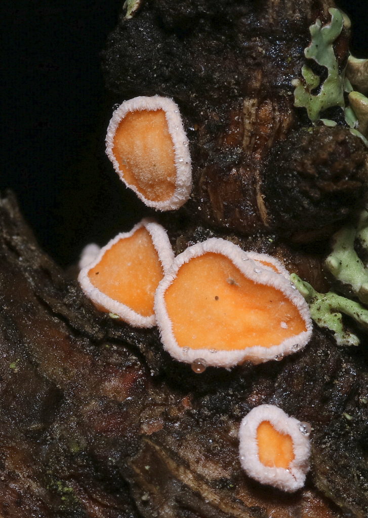 Valokuvaaja: Hannu Rasiranta Valokuvaaja: Hannu Rasiranta