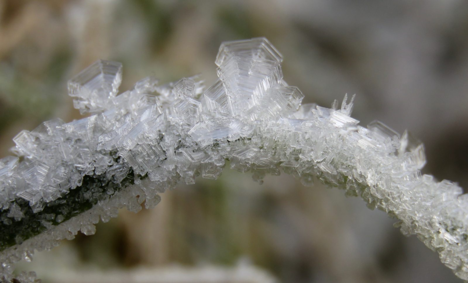 Valokuvaaja: Olivia Kuuri-Riutta