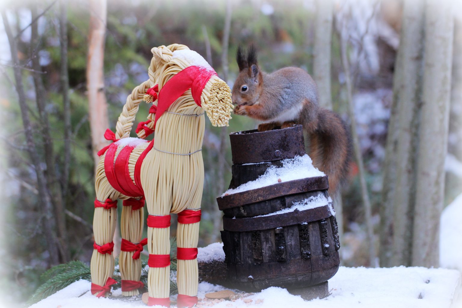 Valokuvaaja: Irja Lehtinen