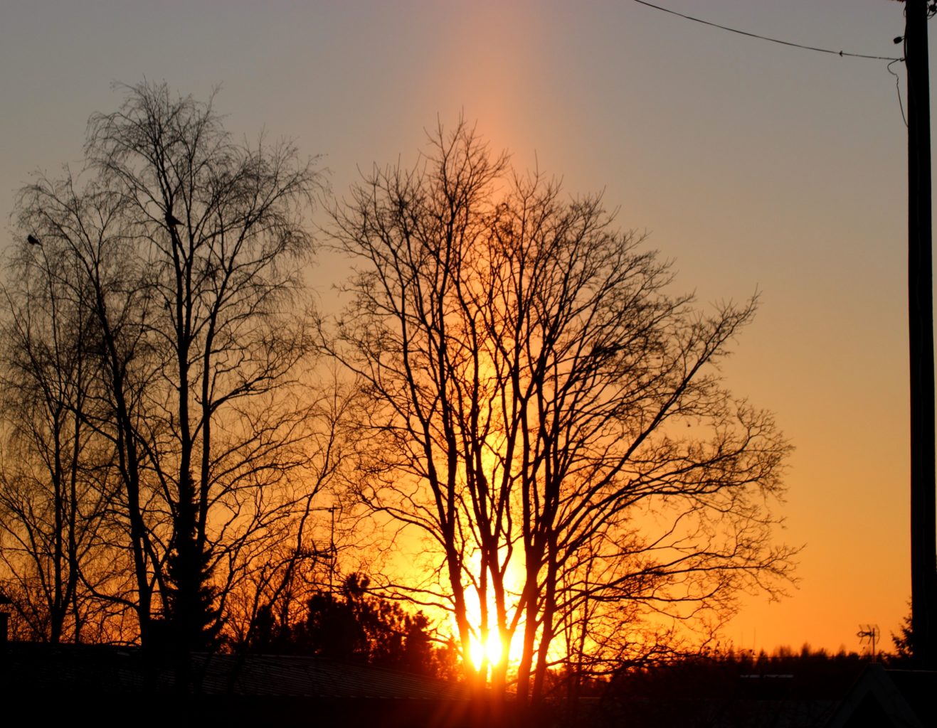Valokuvaaja: Irja Lehtinen