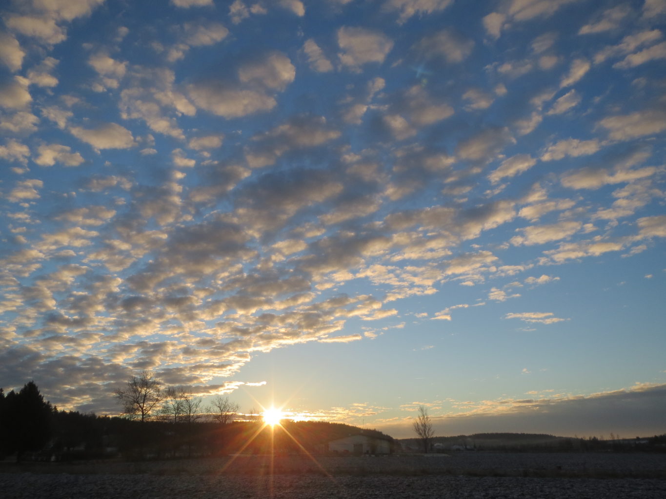 Valokuvaaja: Terttu Rantanen