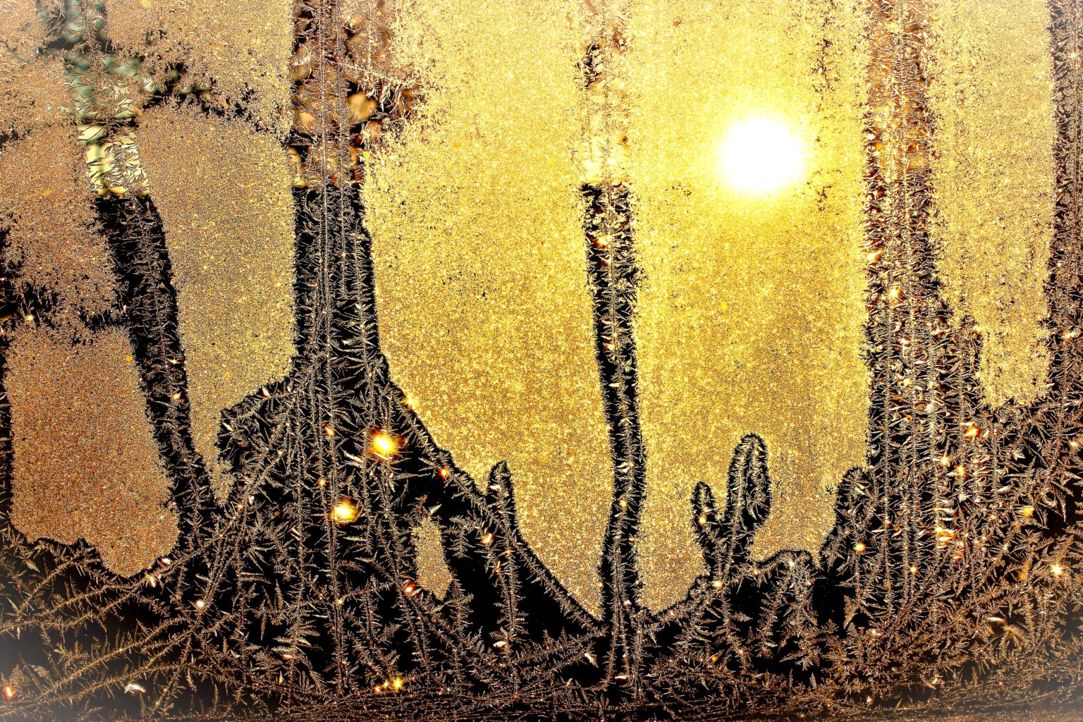 Valokuvaaja: Irja Lehtinen