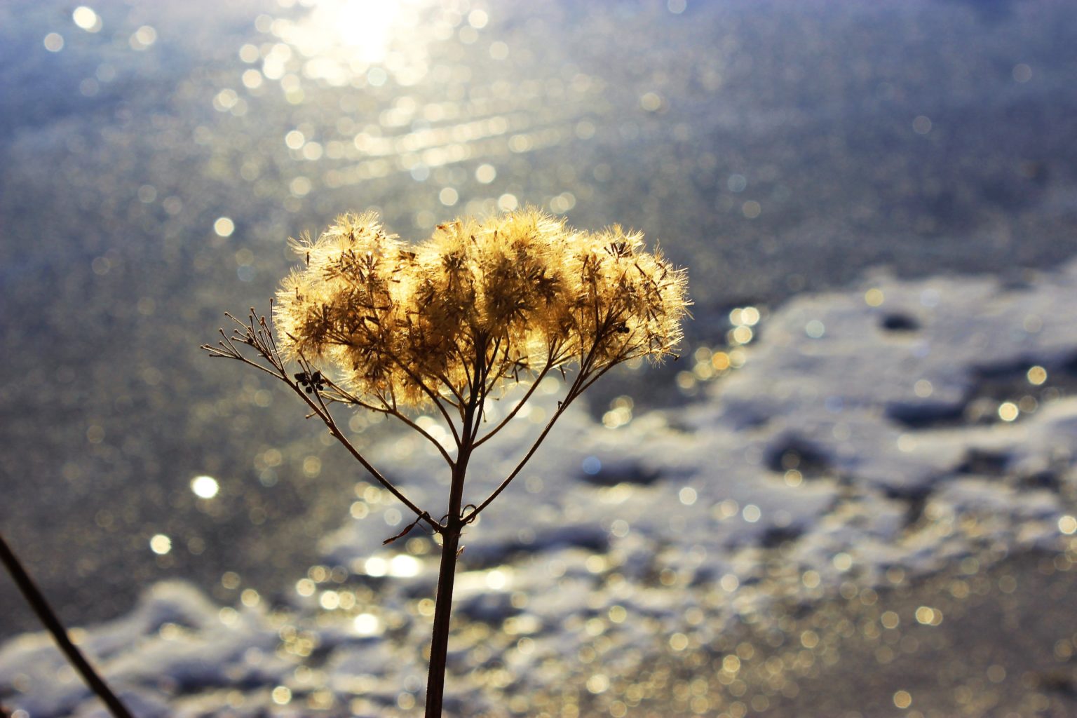 Valokuvaaja: Irja Lehtinen