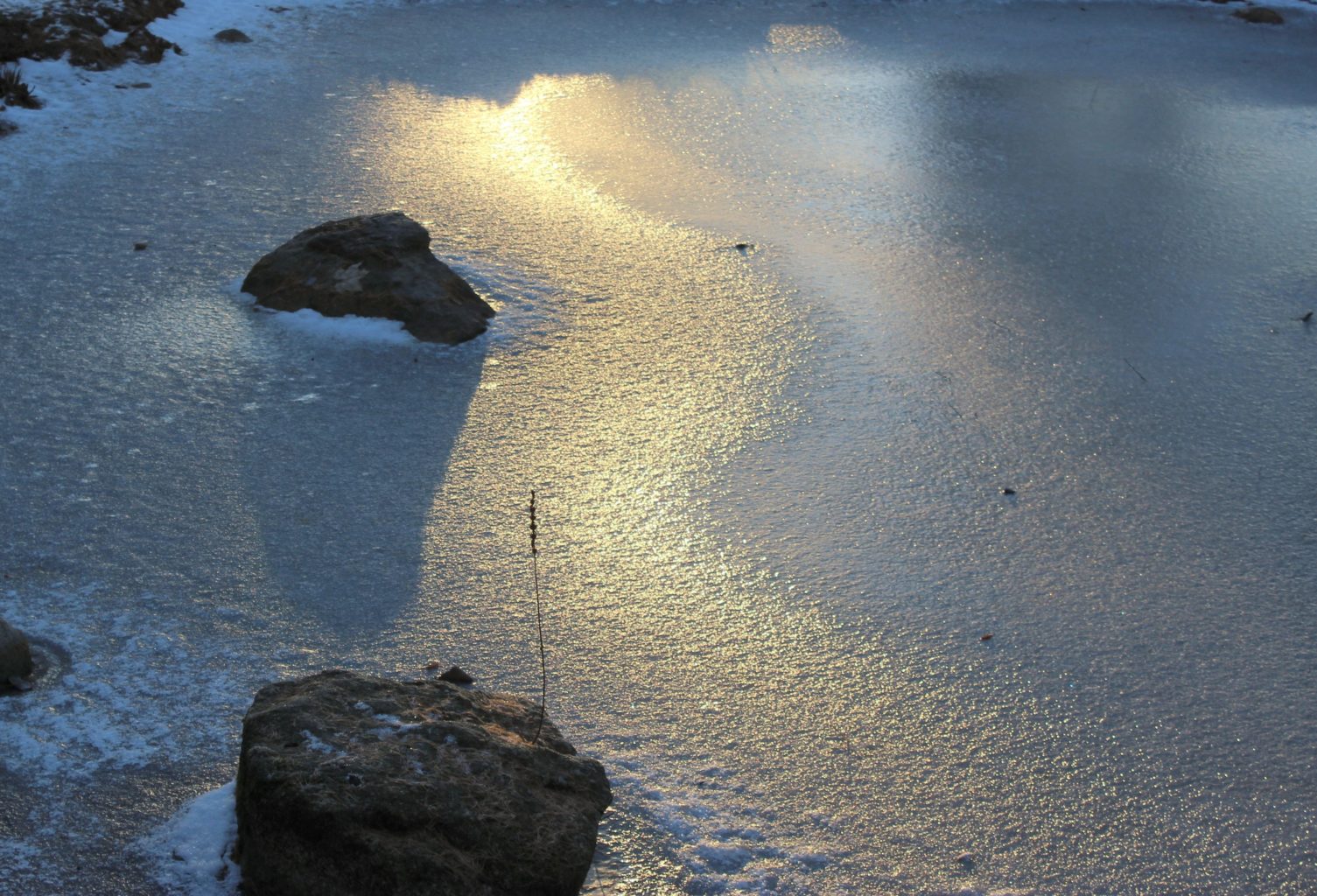 Valokuvaaja: Irja lehtinen