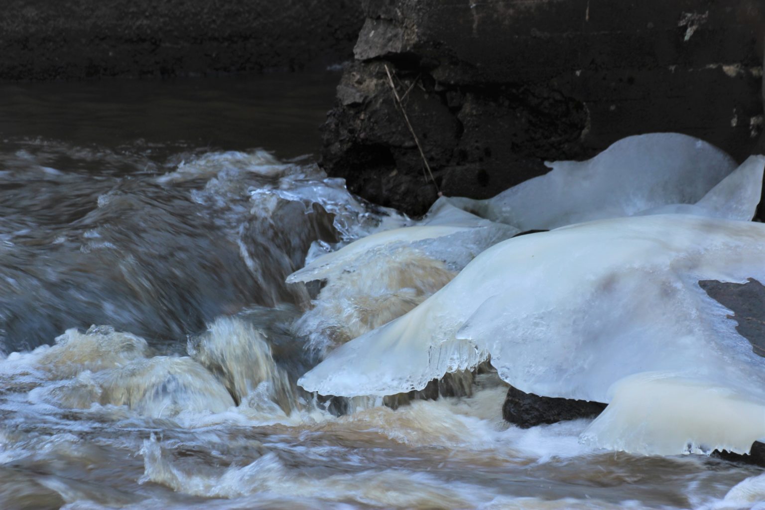 Valokuvaaja: Irja Lehtinen