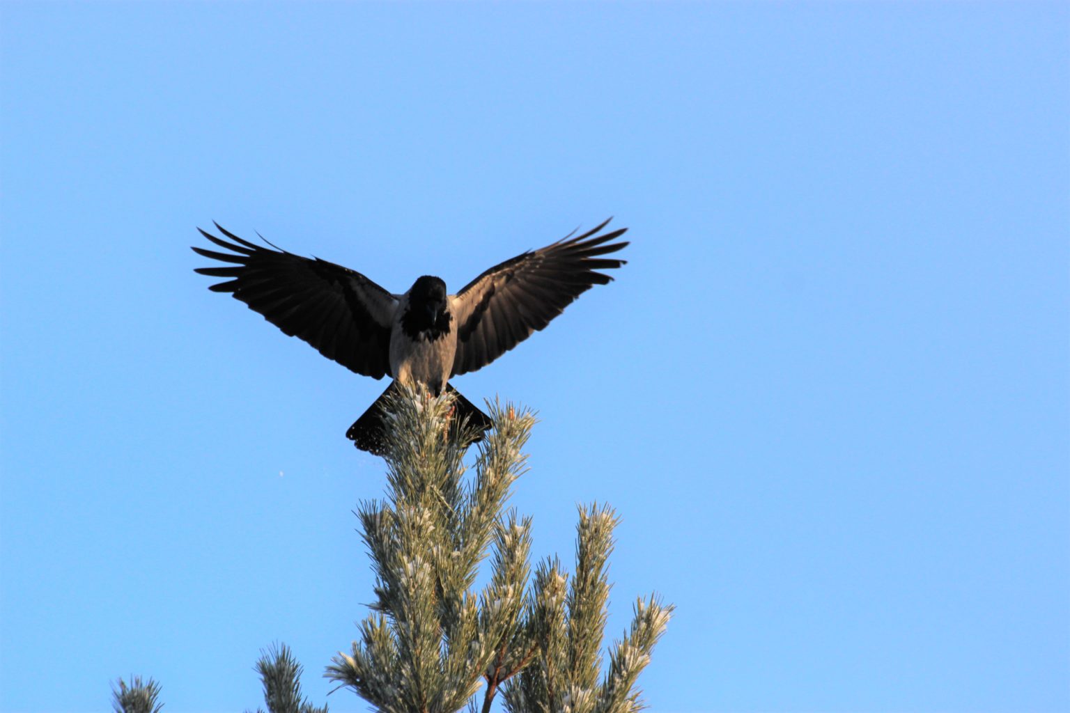 Valokuvaaja: Irja lehtinen
