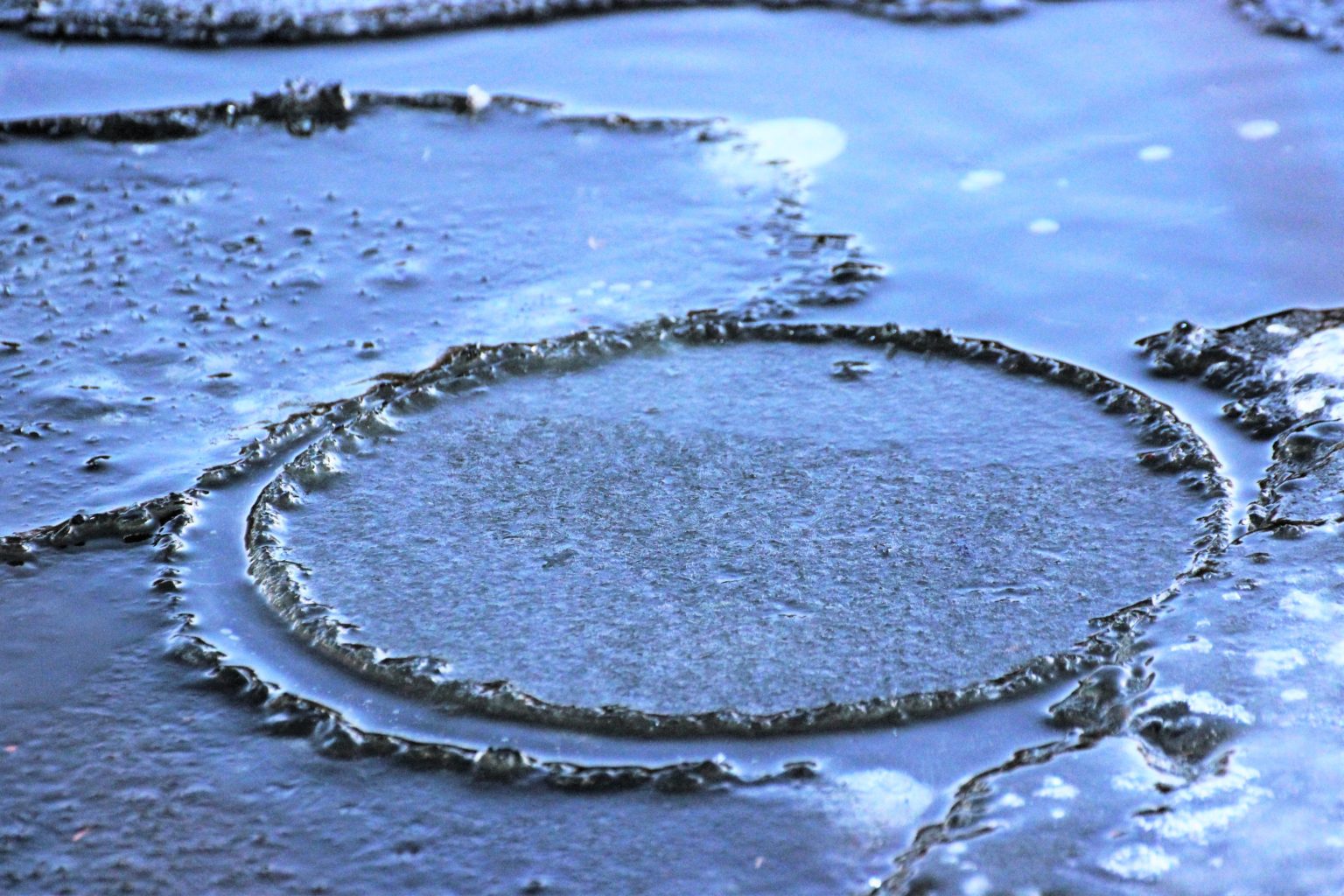 Valokuvaaja: Irja Lehtinen