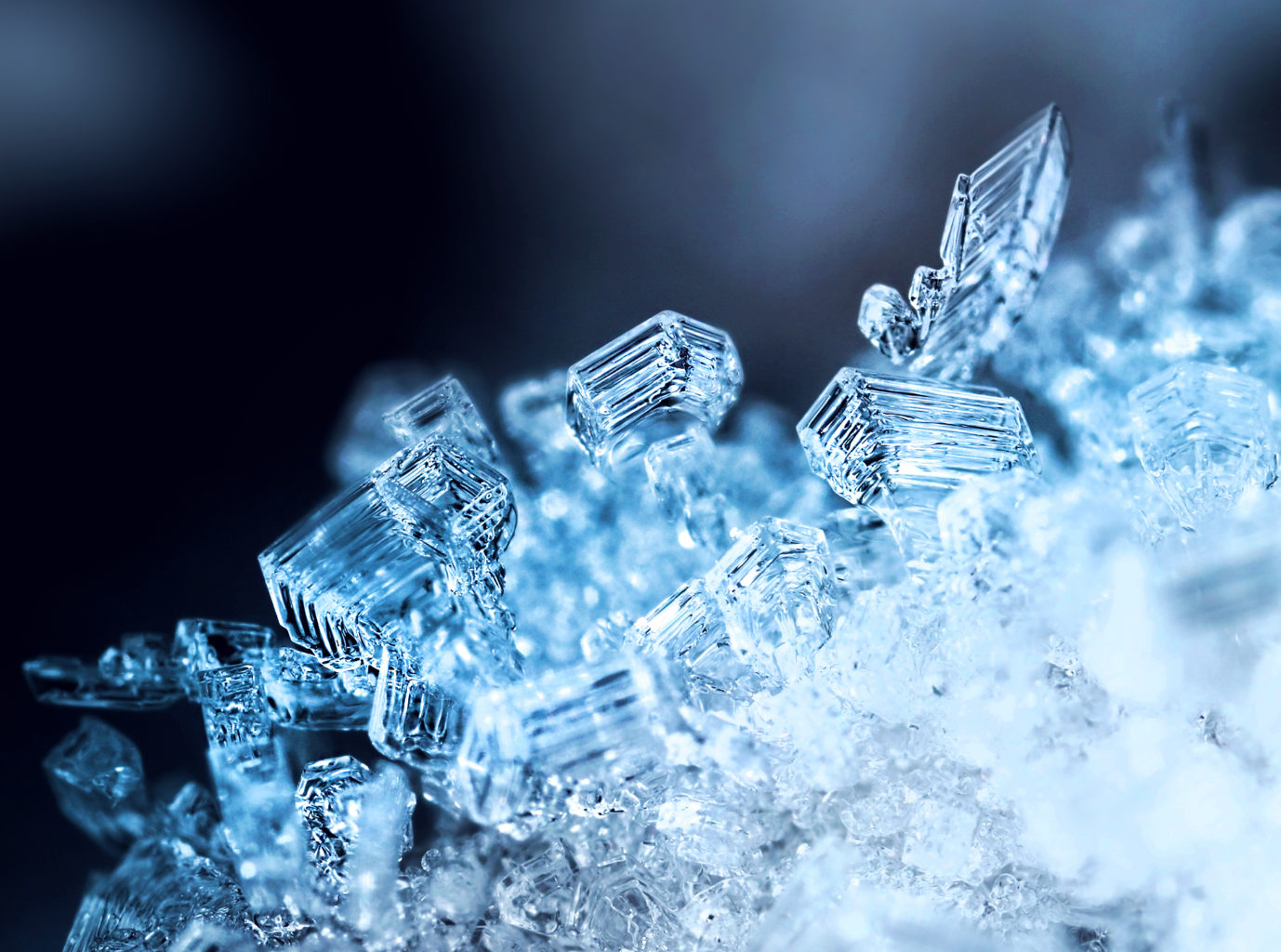 Valokuvaaja: Tarja Porkkala