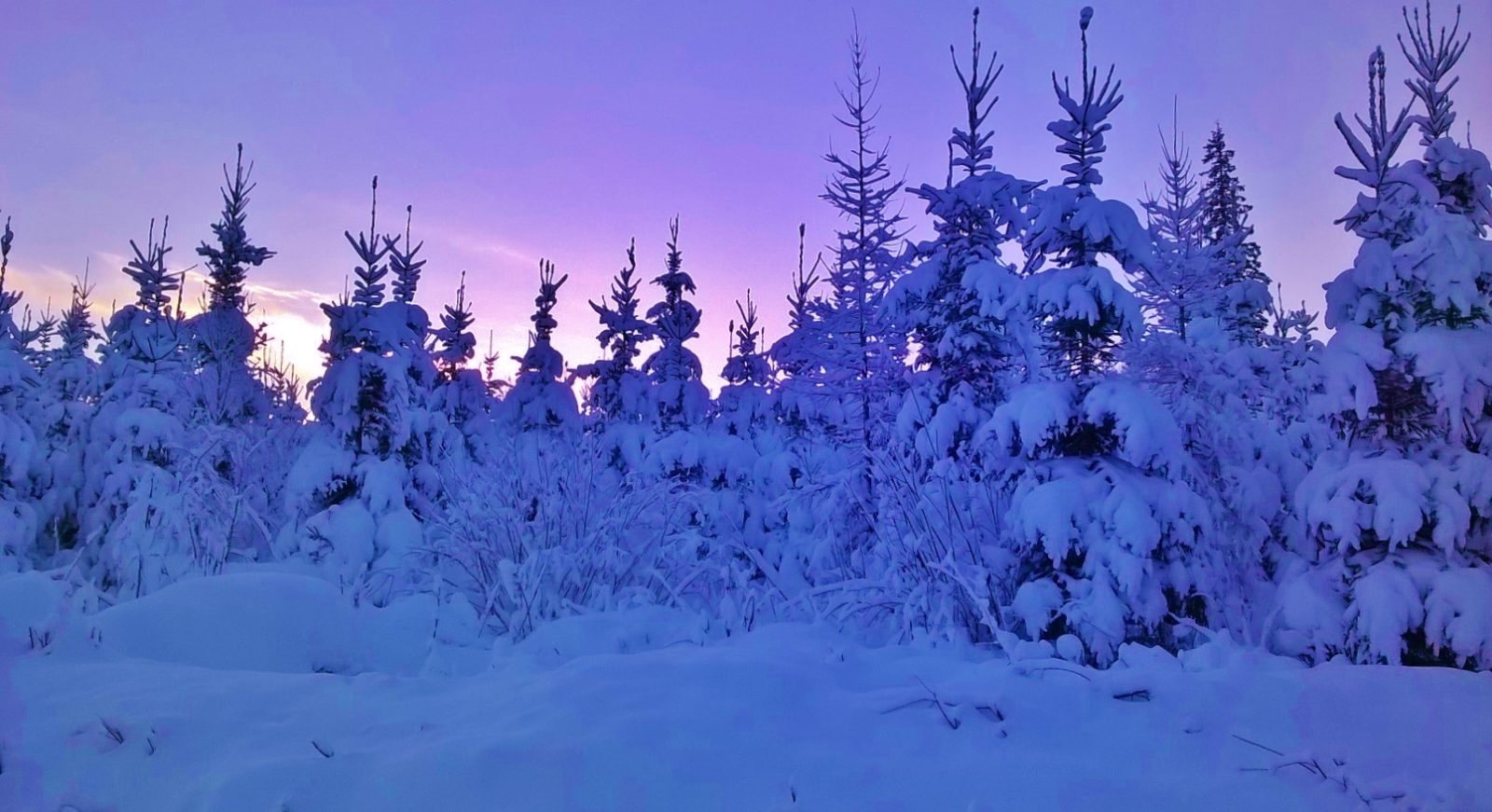 Valokuvaaja: Tuula Pirnes