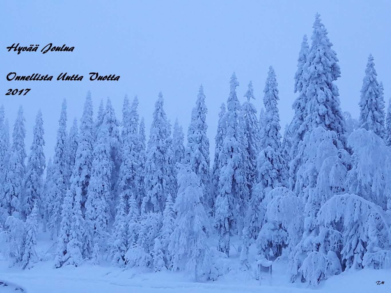 Valokuvaaja: Tuula Makkonen