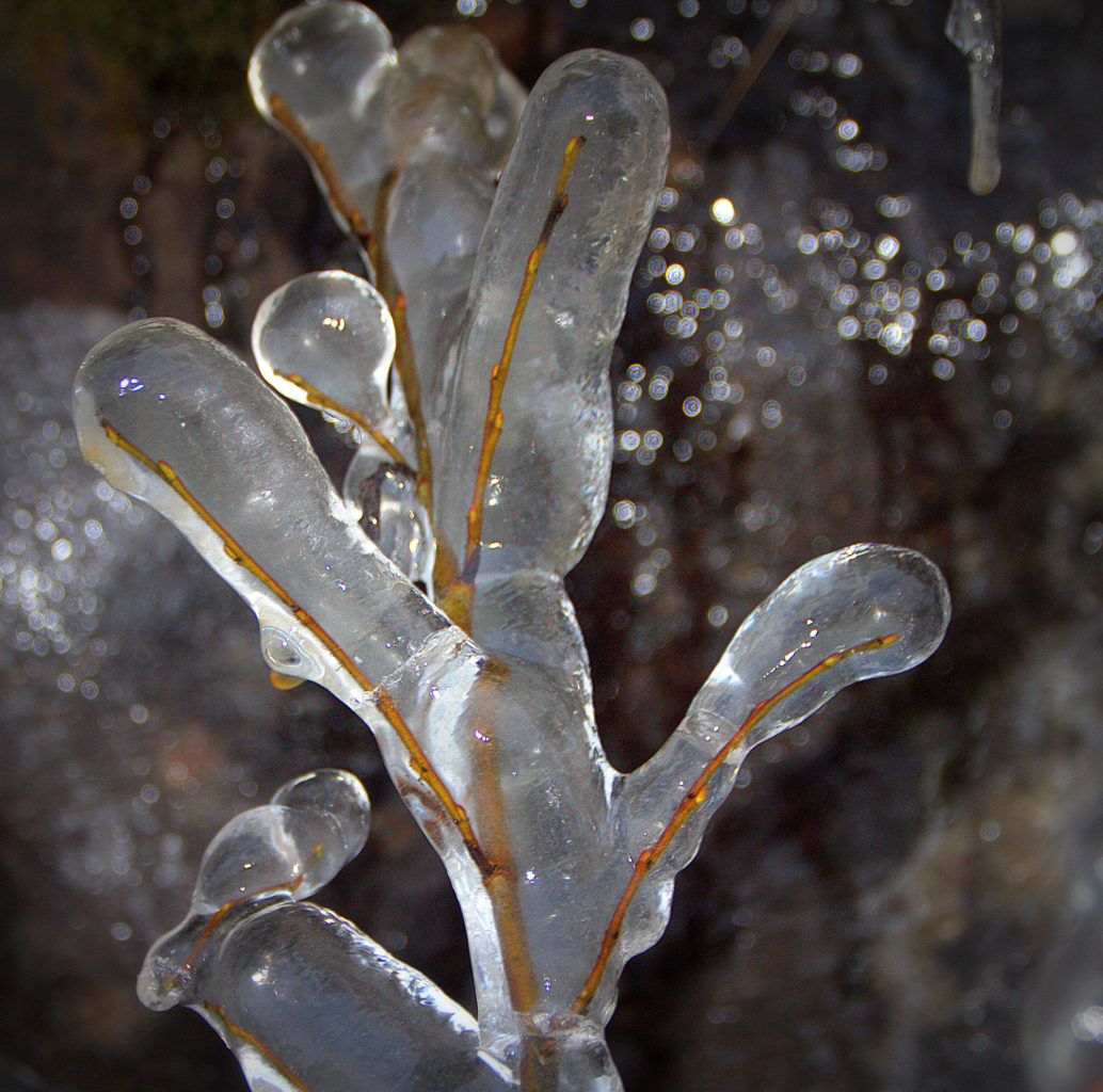 Valokuvaaja: Sirpa Jyske Valokuvaaja: Sirpa Jyske