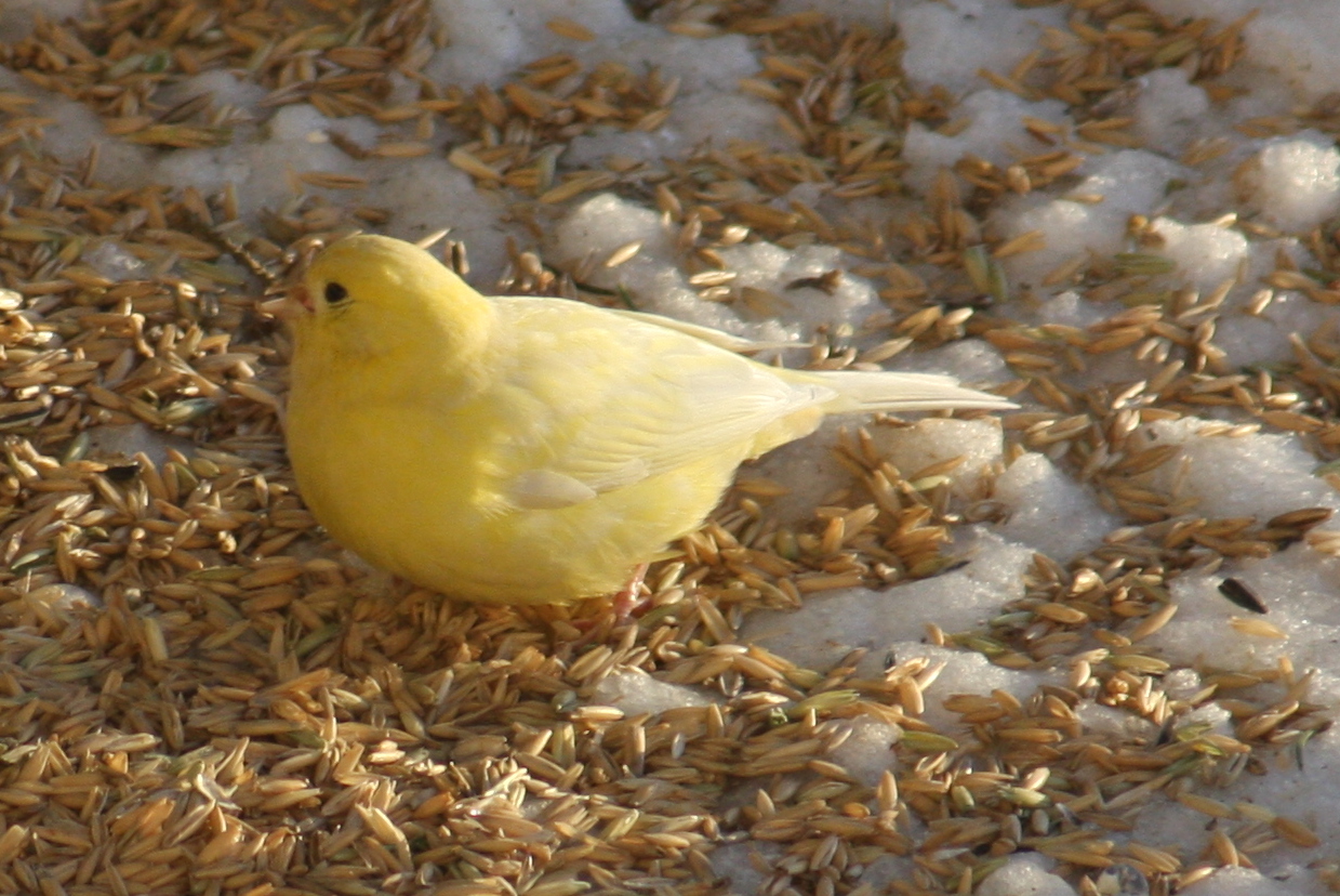 Valokuvaaja: Yrjö Etula Valokuvaaja: Yrjö Etula
