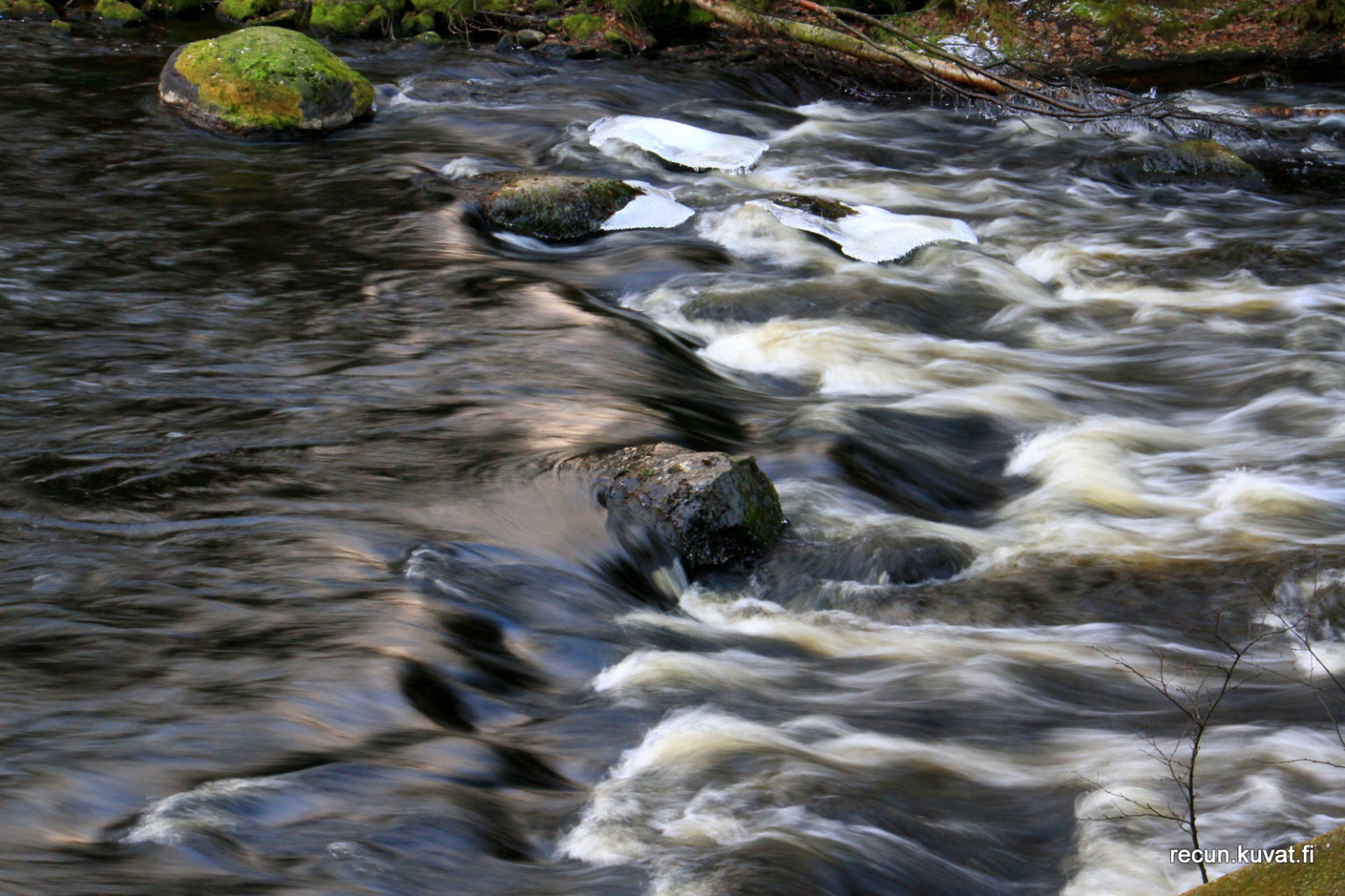 Valokuvaaja: Reijo Reccu Lehtonen