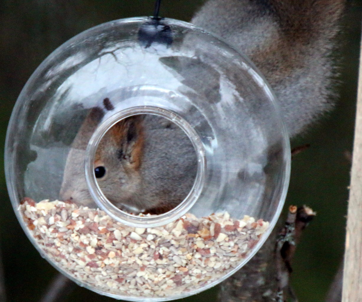 Valokuvaaja: Ahti Keränen