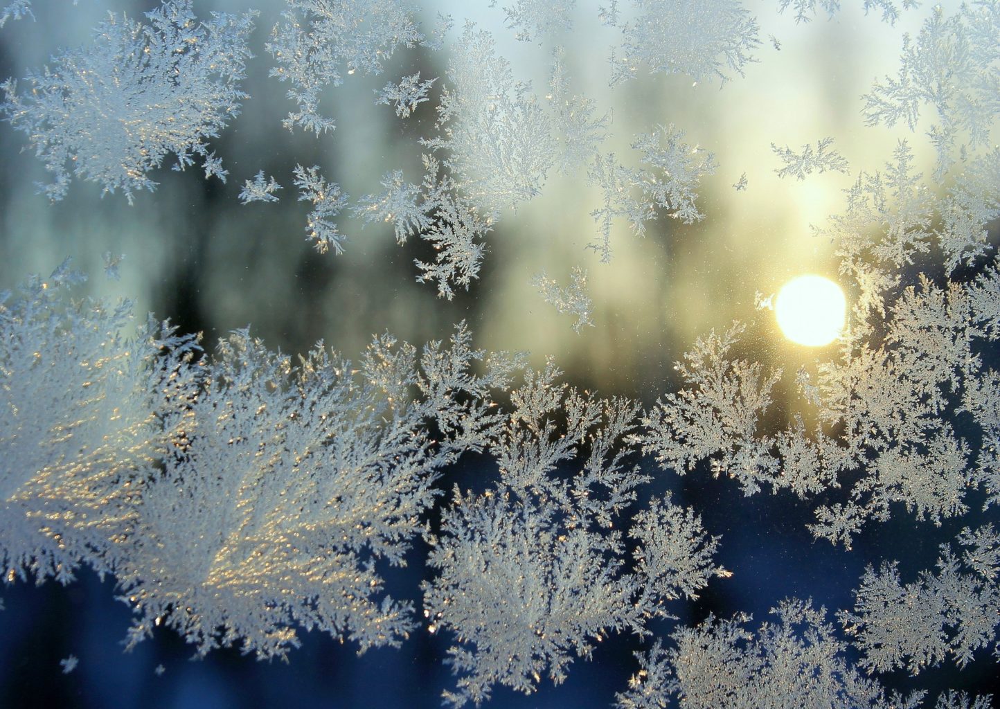 Valokuvaaja: Paula Savelius