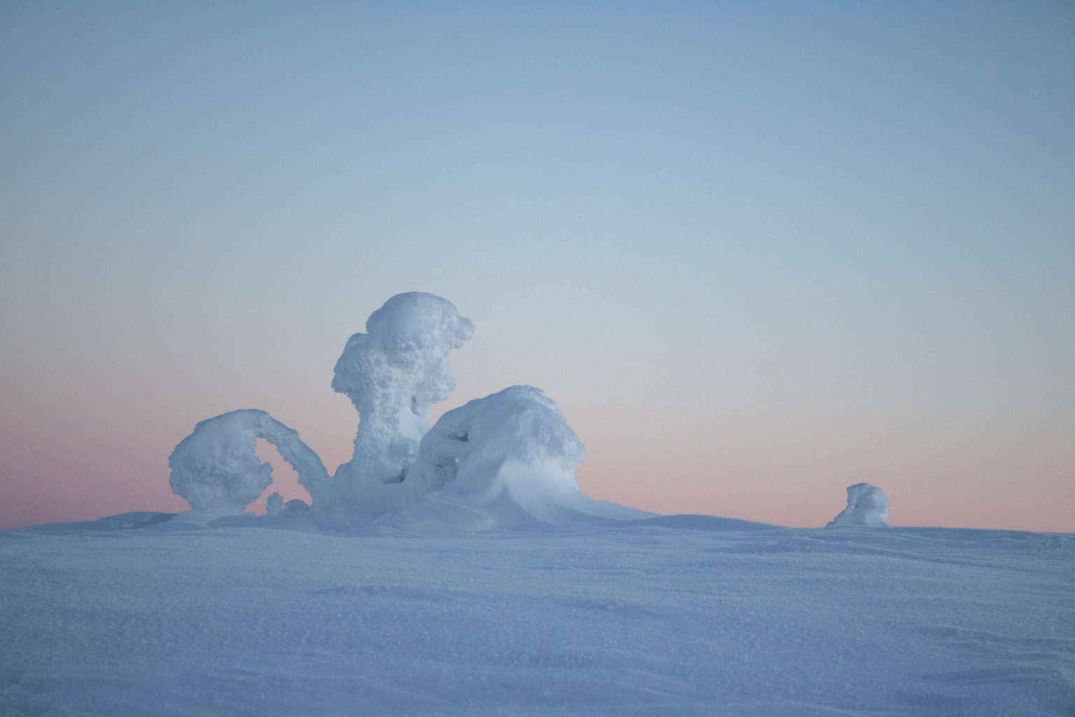 Valokuvaaja: Katri Niskanen