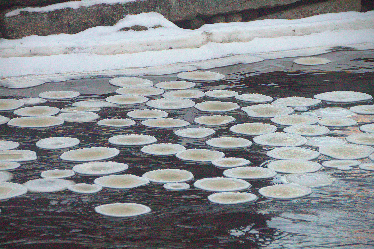 Valokuvaaja: Sirpa Jyske