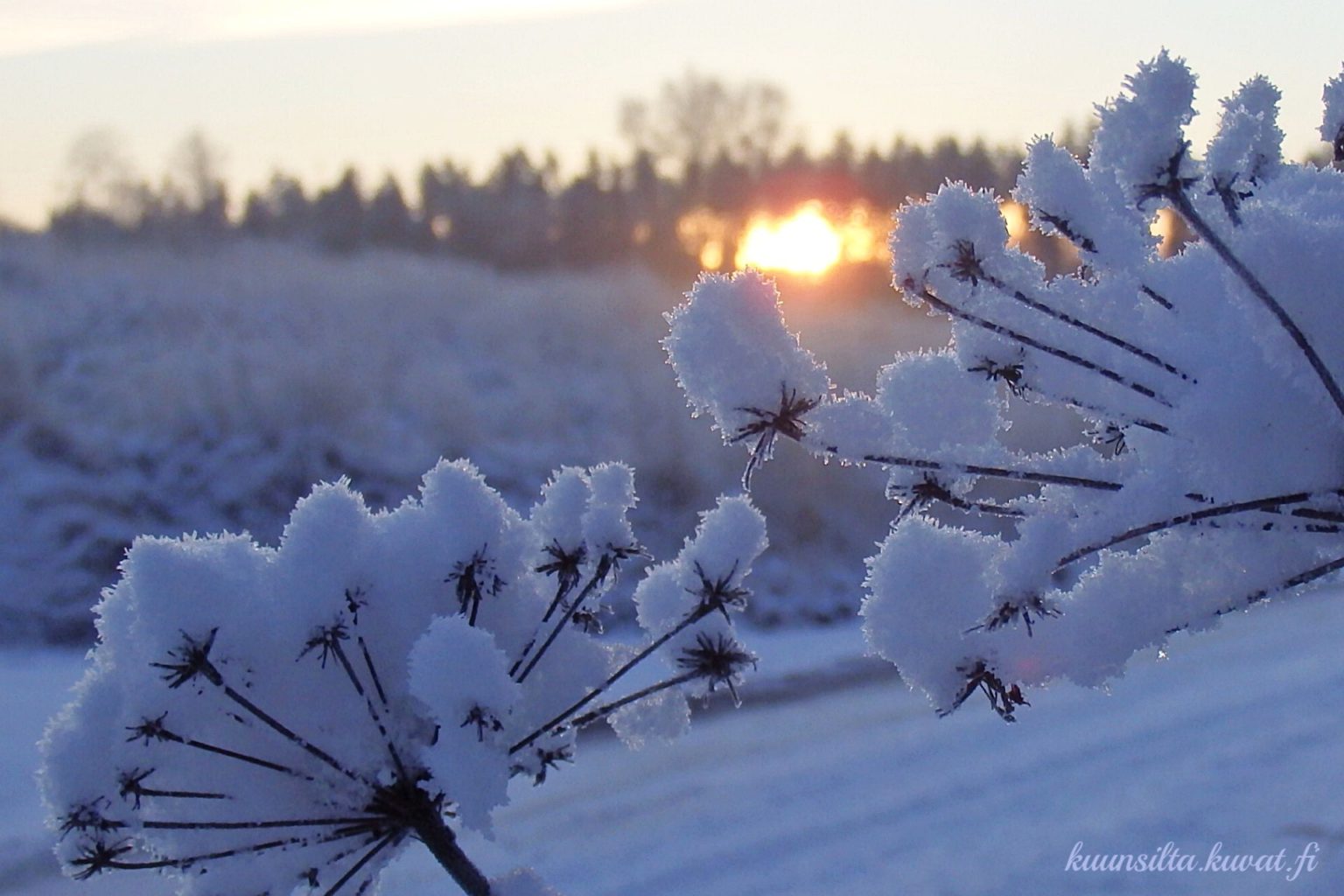 Valokuvaaja: Antti Kaskinen