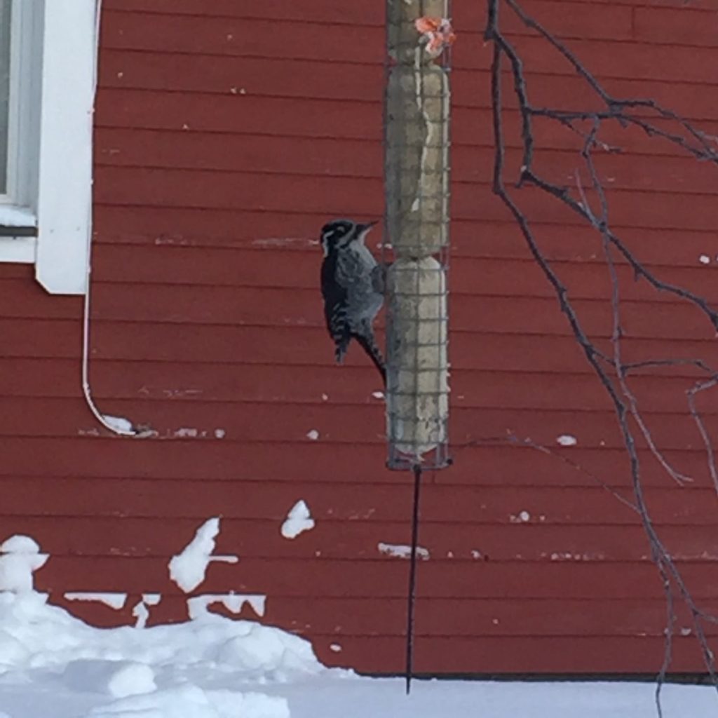 Valokuvaaja: Minna Kähkönen Valokuvaaja: Minna Kähkönen