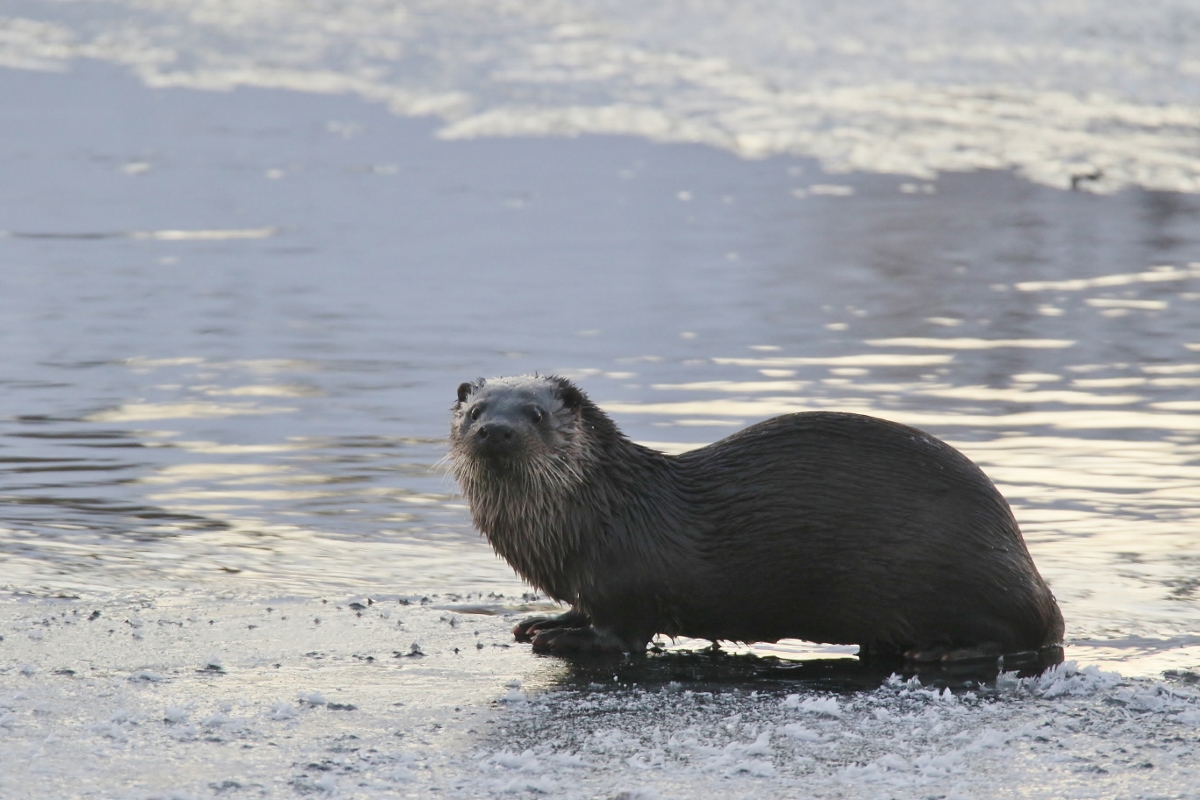 Valokuvaaja: Tuula Pirnes