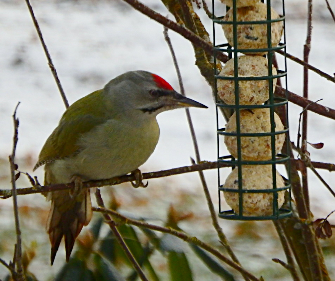 Valokuvaaja: Ulla Väisänen