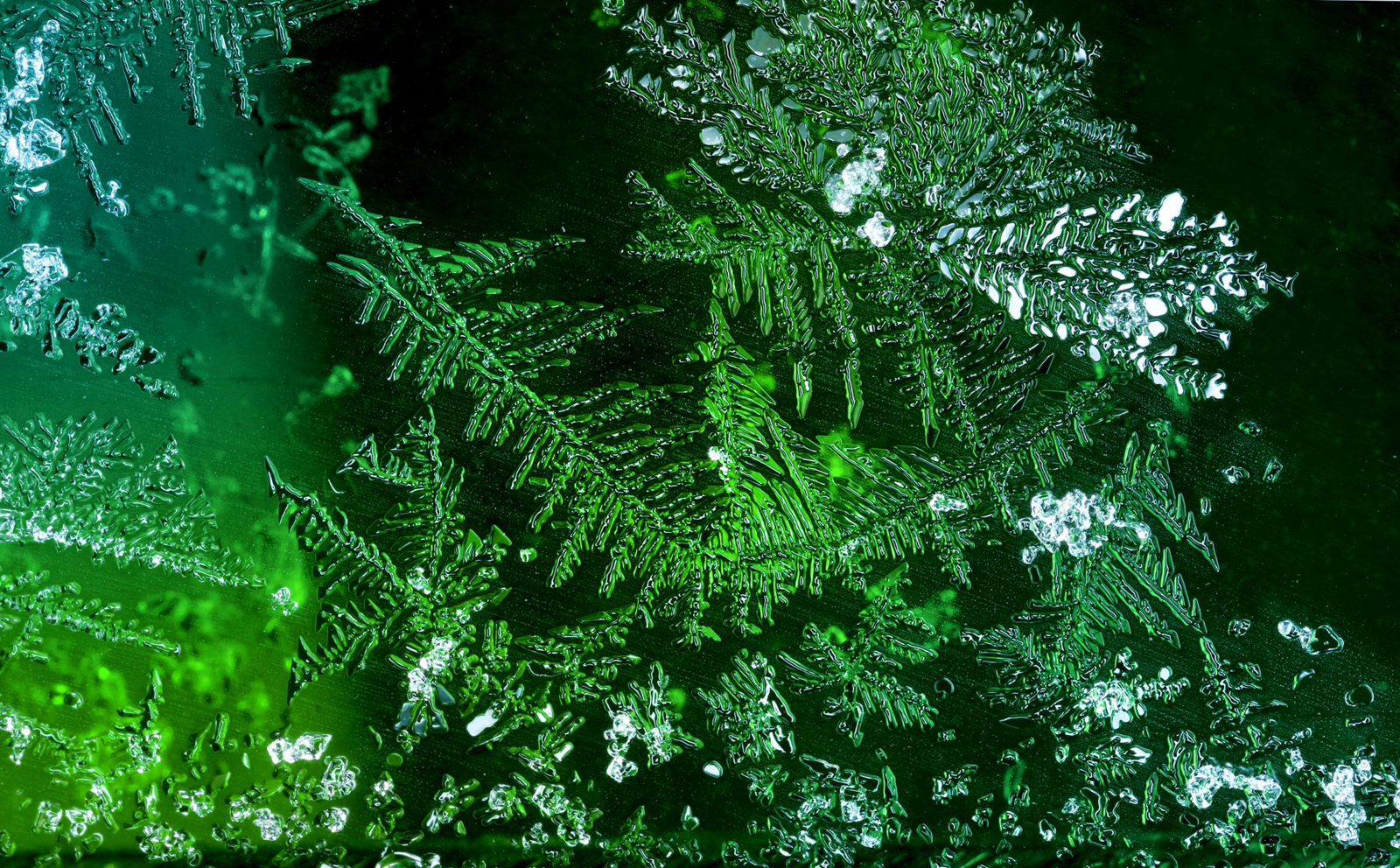 Valokuvaaja: Tarja Porkkala