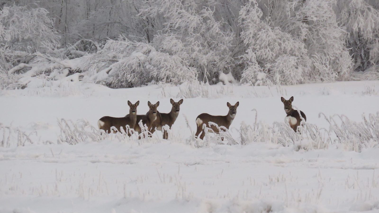 Valokuvaaja: Sinikka Kujala
