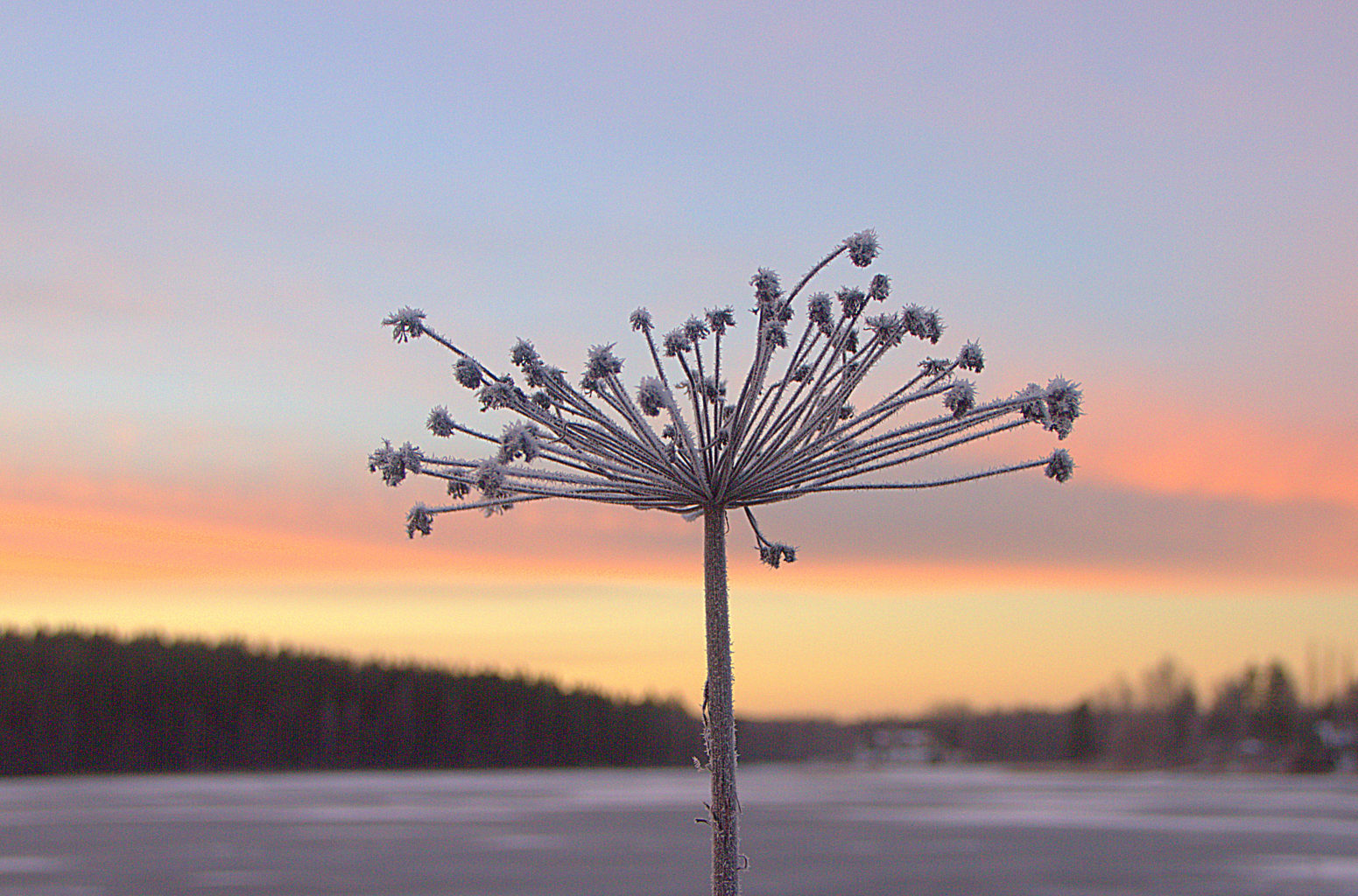 Valokuvaaja: Sirpa Jyske