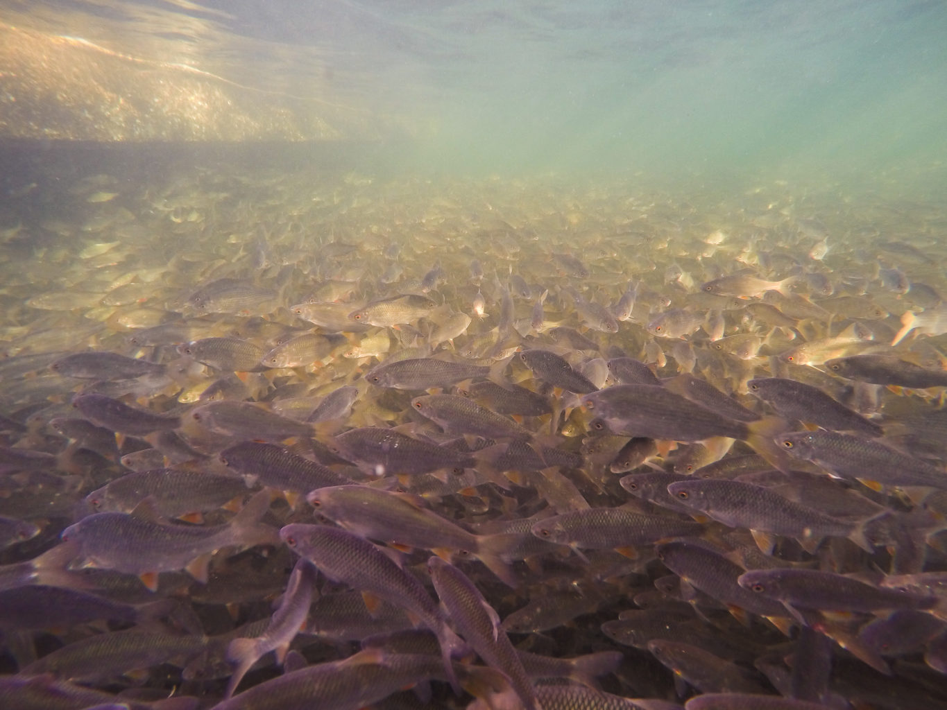Valokuvaaja: Jarmo Saarinen Valokuvaaja: Jarmo Saarinen