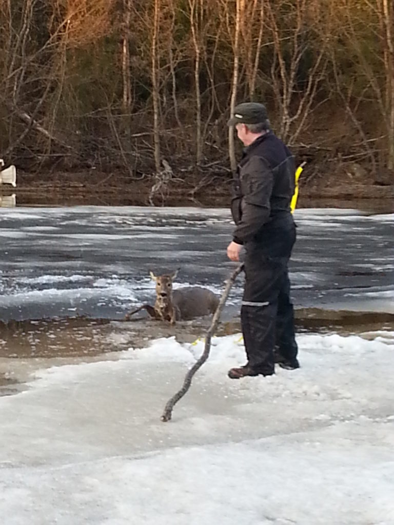 Valokuvaaja: Auli Feldt