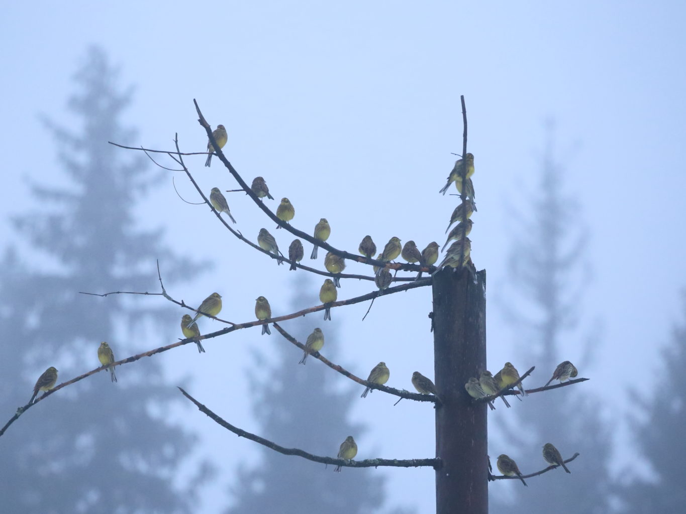 Valokuvaaja: Jukka Ylätalo