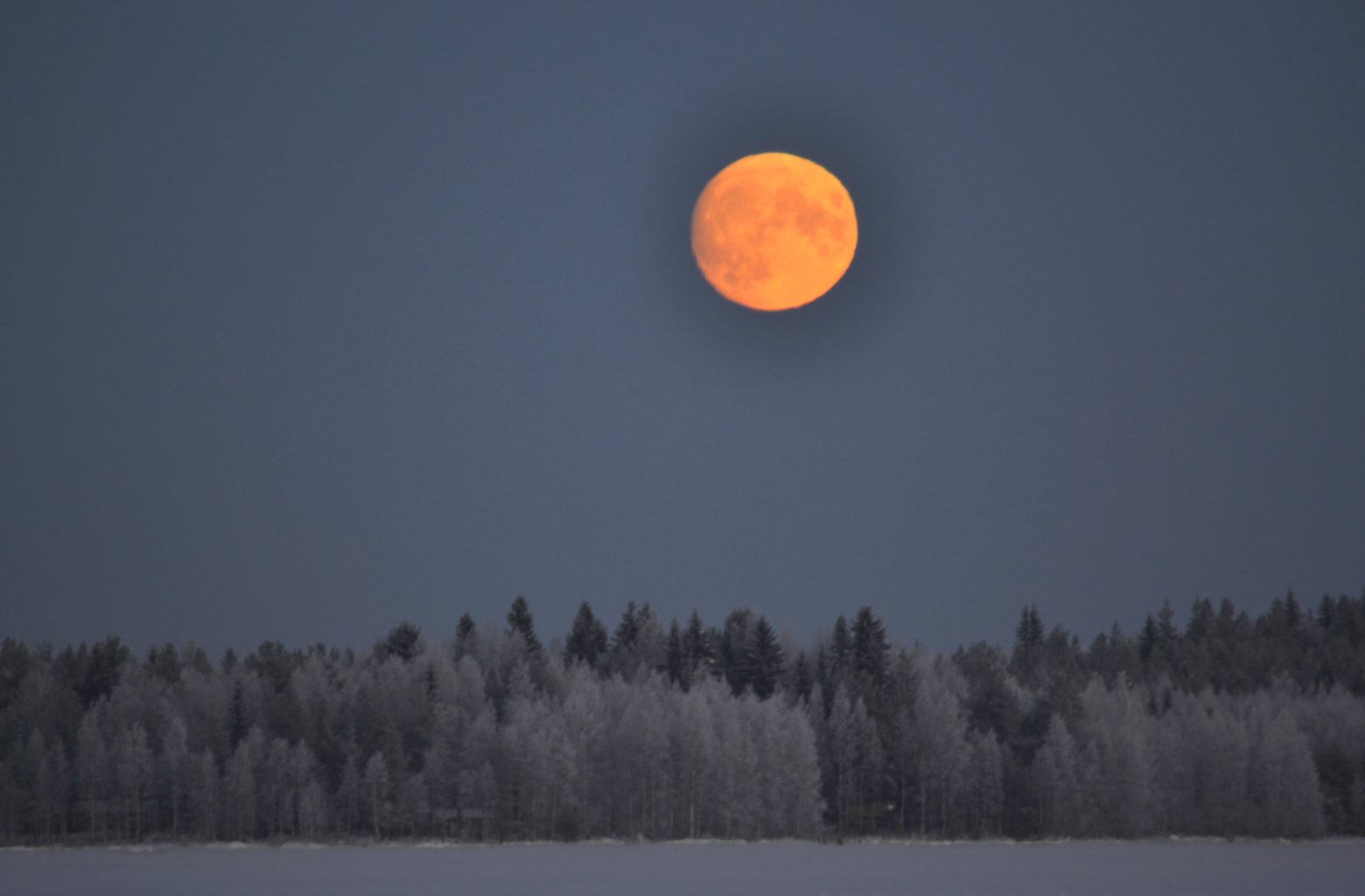 Valokuvaaja: Leena Rissanen