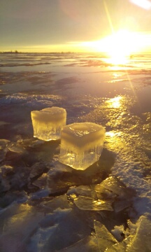 Valokuvaaja: Juha Juvonen