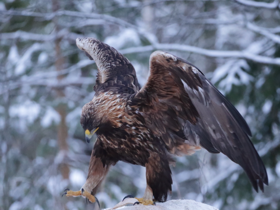 Valokuvaaja: Jukka Ylätalo
