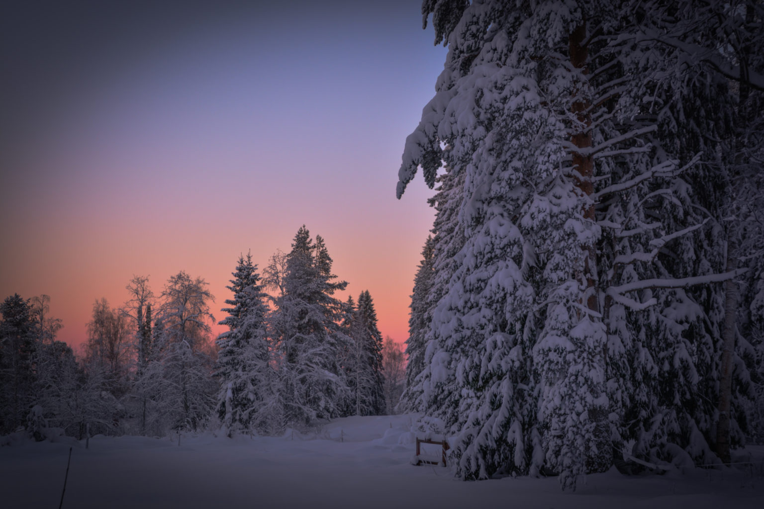 Valokuvaaja: MAIJA SAVOLAINEN