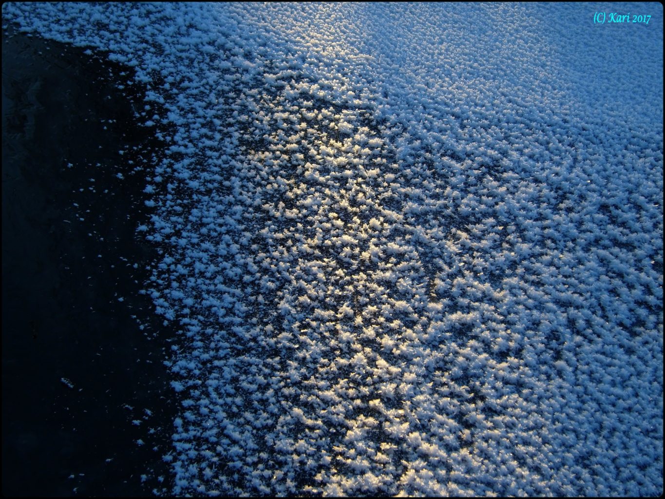 Valokuvaaja: Kari Saarinen Valokuvaaja: Kari Saarinen