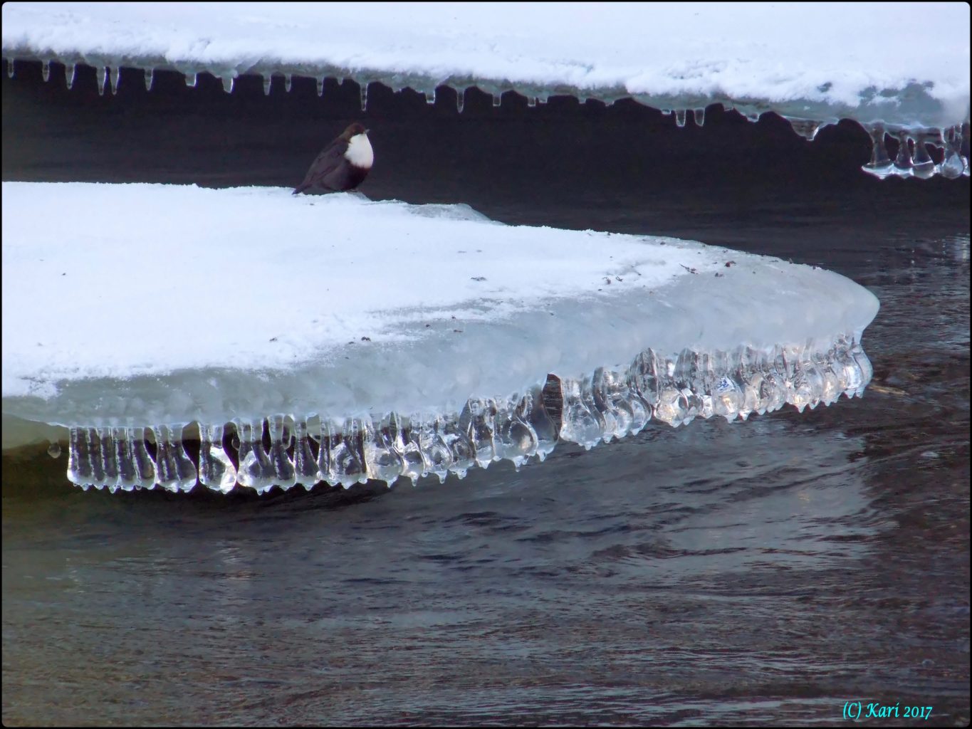 Valokuvaaja: Kari Saarinen