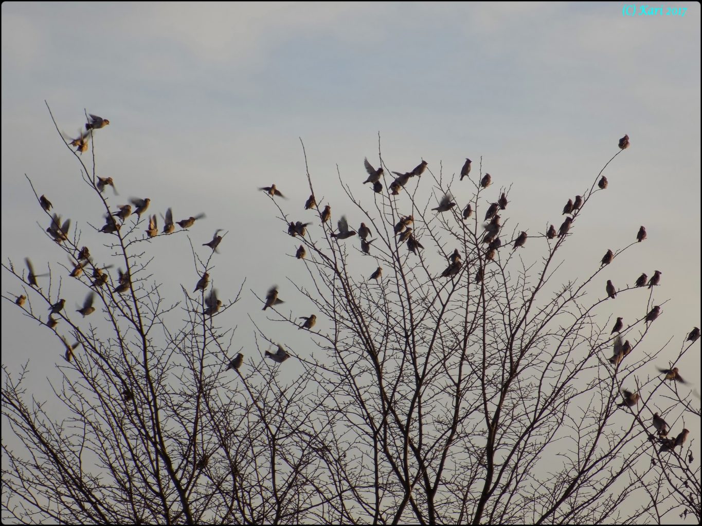 Valokuvaaja: Kari Saarinen